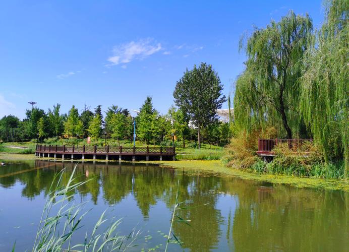 水岸花海！顺义区新添一处国家AAA级旅游景区