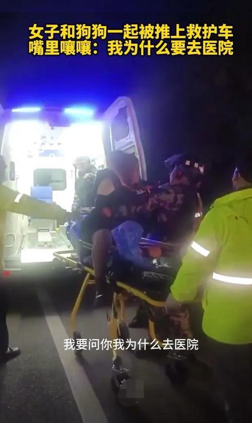 女子和狗狗一起被推上救护车 嘴里不停哭喊着我不要去医院