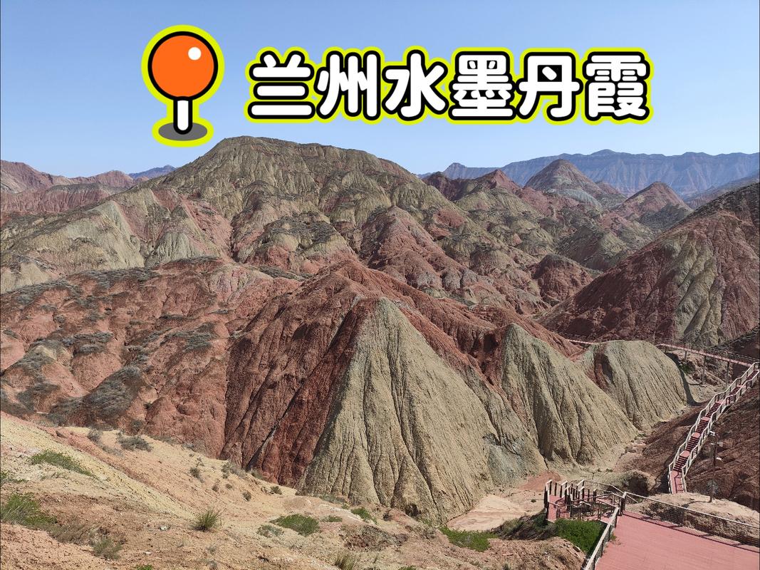 2025年3月24日 第8页