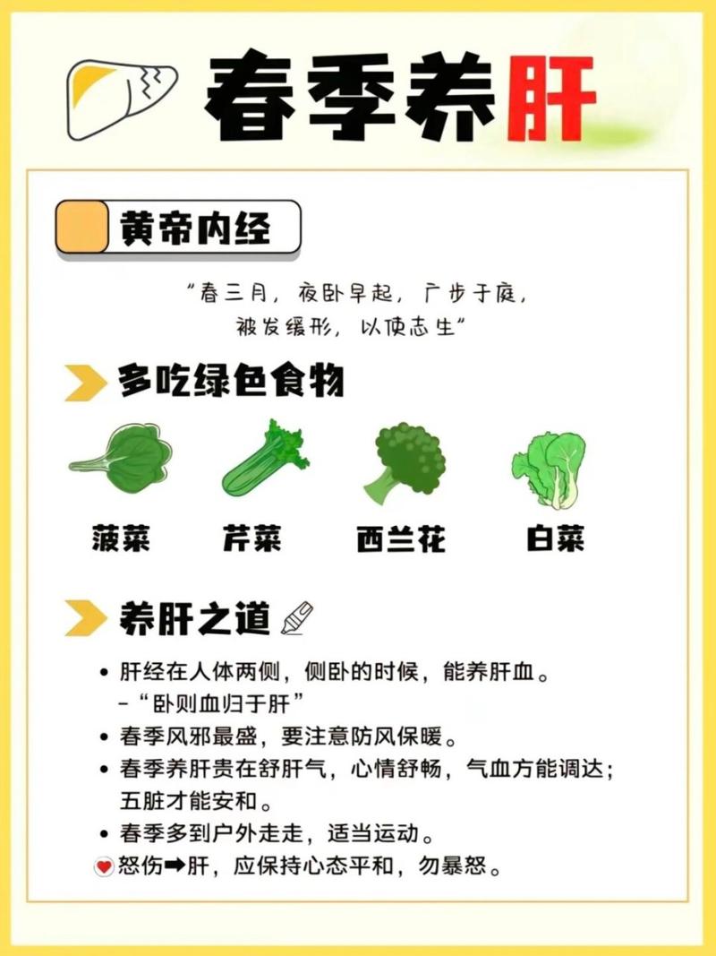 2025年3月 第82页