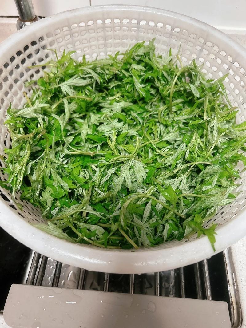 路边野草别浪费！3步做出香嫩艾草煎蛋，春天就该这样吃