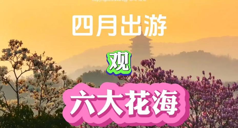 福利再升级！快来梧桐山打“飞的”赏花海！