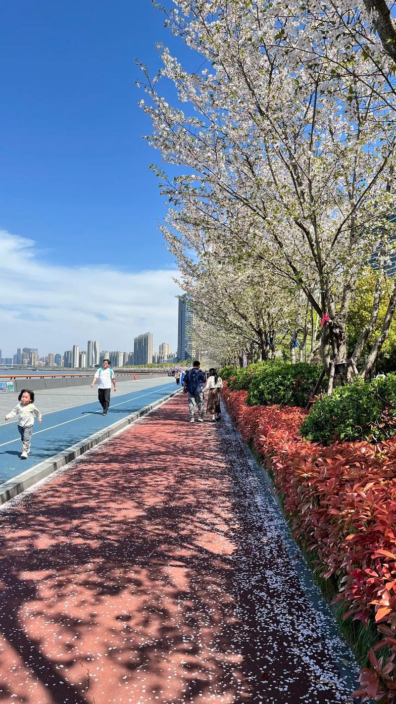 本周末来杨浦滨江，解锁一场樱花奇遇！