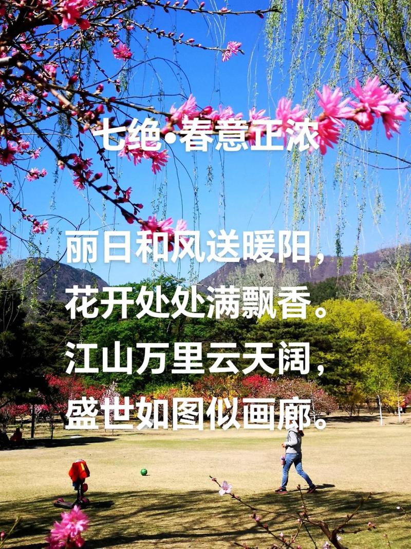 春日花正好，老街引客来