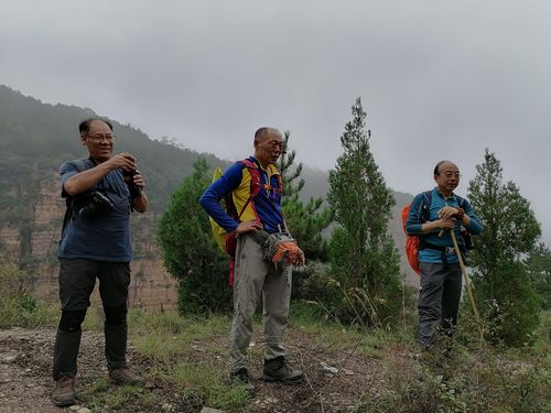 驴友放烟花庆生引发南太行山火？辉县应急部门：正调查此事，全市已封山