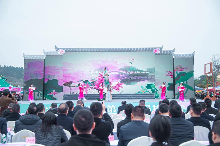 四川南充：西充县第十三届桃花季在古楼启幕