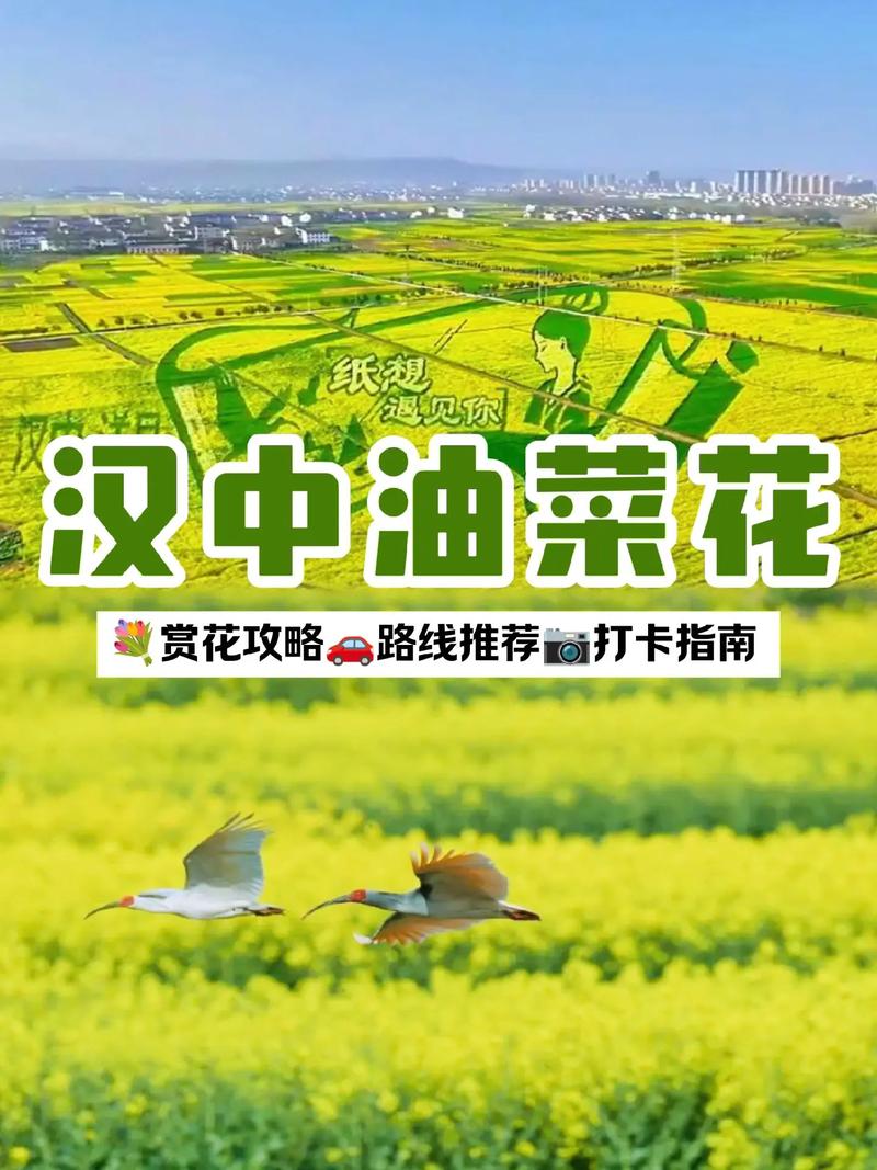 擎动“花海经济”擘画千亿蓝图：汉中油菜花节解码生态“颜值”到产业价值的“花样”跃升