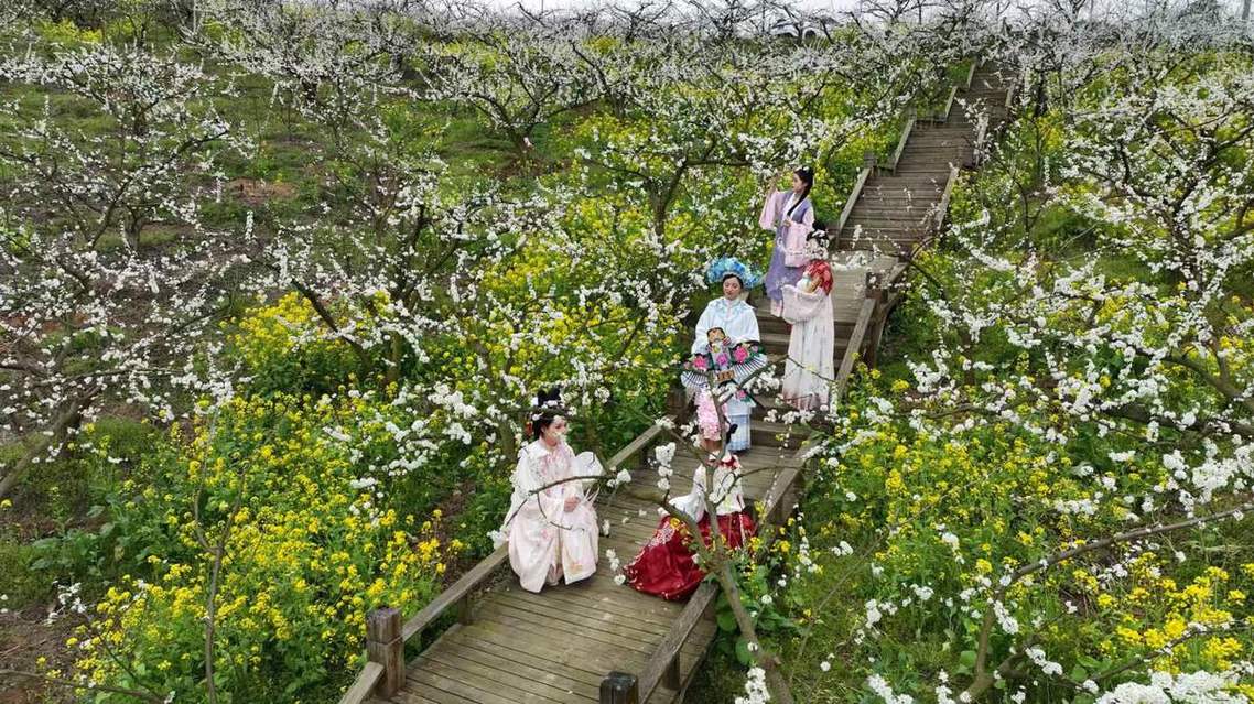 镇远白秧坪千亩桃花梨花绽放，古城花语.侗乡新风
