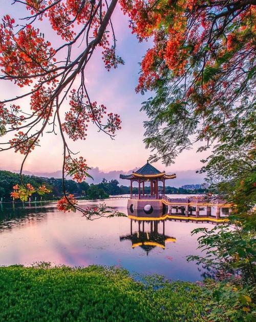 美在惠州丨惠州西湖百花映春