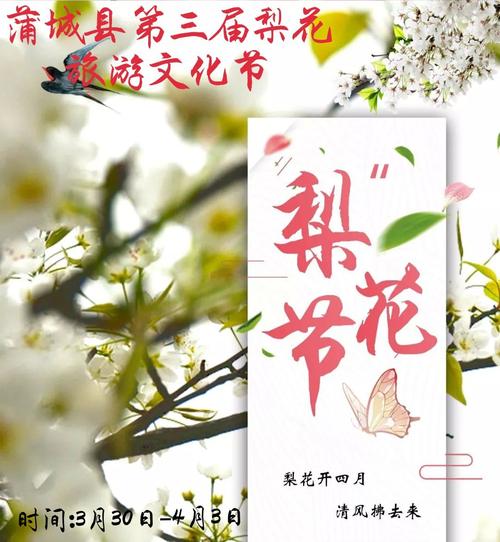 “春风来 梨花开”2025蒲城县梨花旅游推介活动预告