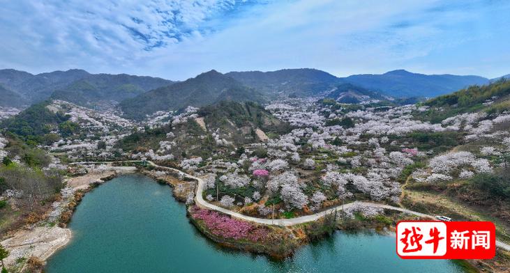十里樱花香雪海，嵊州的美丽山村宛如童话世界，让无数游客流连