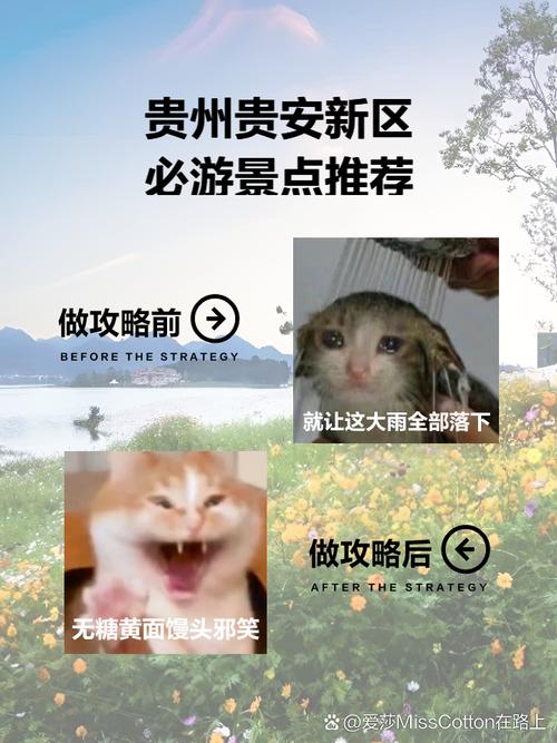 “吃住游”都齐了！一起去贵安过春天~
