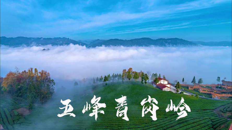 春天的茶乡五峰，总是能轻易地拨动起我们的心弦