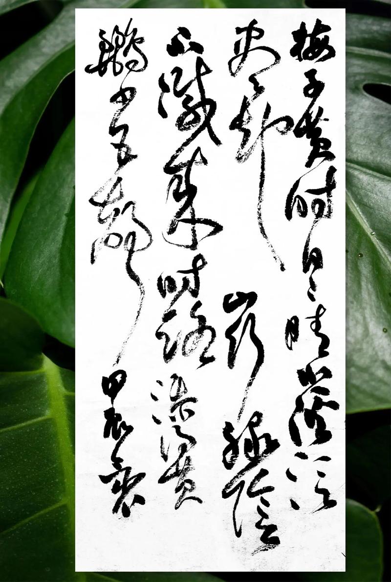 春日去黄梅—在时光褶皱里打捞一城春色