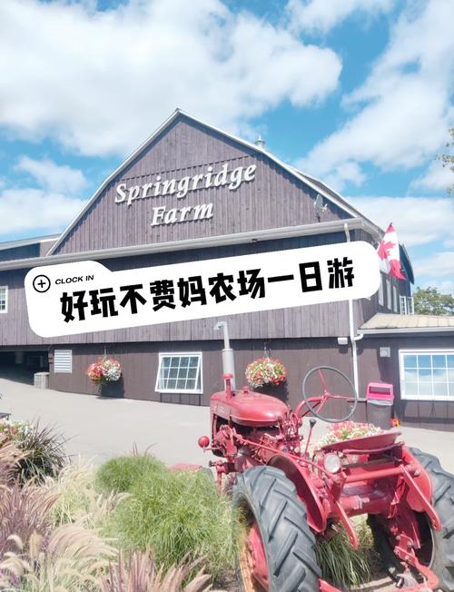 春日限定 成安农场采摘之旅，一口“咬下”春天的清甜