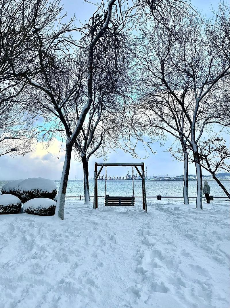 阳春三月赏花期，威海还在“雪花飘”突然下的一场雪