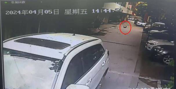 女童小区内被碾压身亡，肇事司机家属：将起诉特斯拉