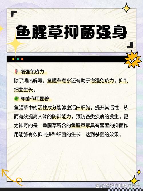 鱼腥草含一级致癌物，伤肾还致癌？折耳根还能吃吗？告诉你答案