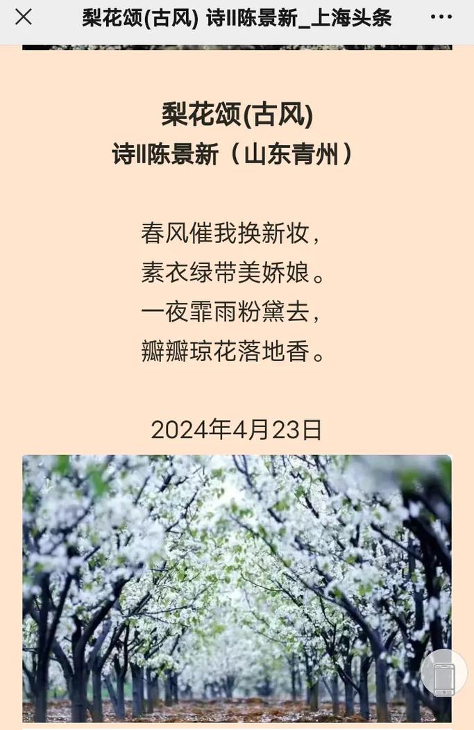 踏青赏花正当时 梨园漫步醉春风