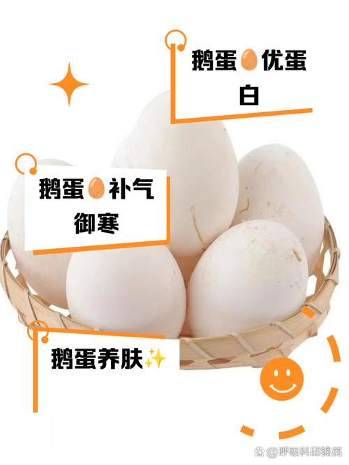 鹅蛋为什么很少有人吃？也很少有卖？看完后才知道，涨知识了！
