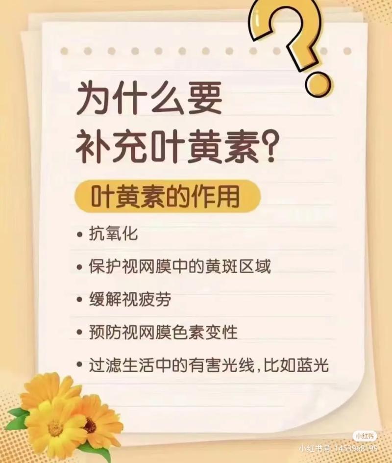 这4样是公认“眼黄金”中老年必吃，眼睛不模糊，还你透亮眼睛