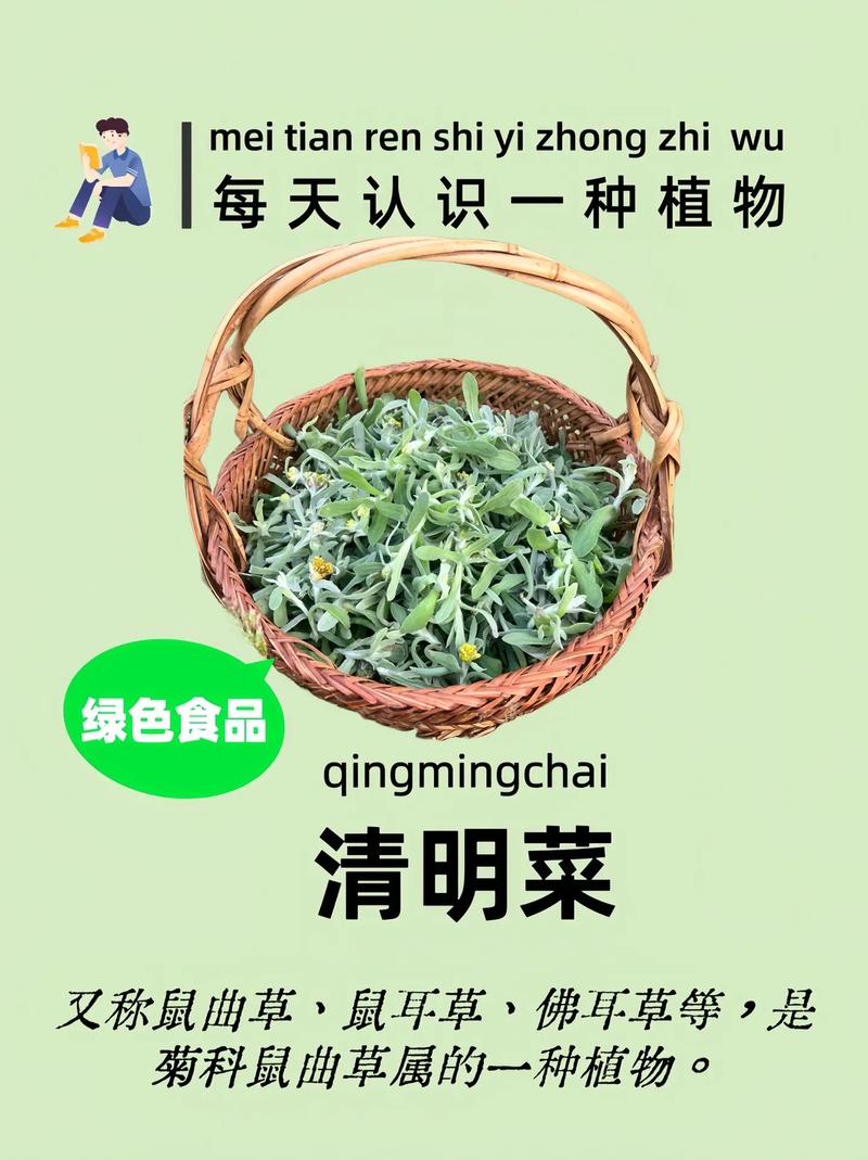 清明前后，建议要多吃3种野菜，农村遍地都是，不懂吃可惜了