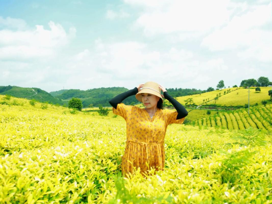 #住进风景里 放飞心情拥抱大自然 一起感受大自然的气息和美景
