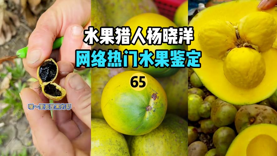央视曝光“5大水果骗局”越看越离谱，简直把消费者当“傻子”