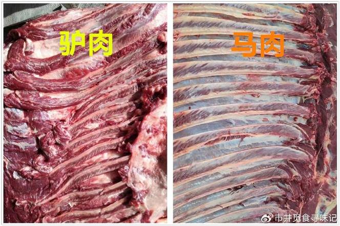 教你几招区分是驴肉还是马肉？爱吃驴肉火烧的，可千万别上当了