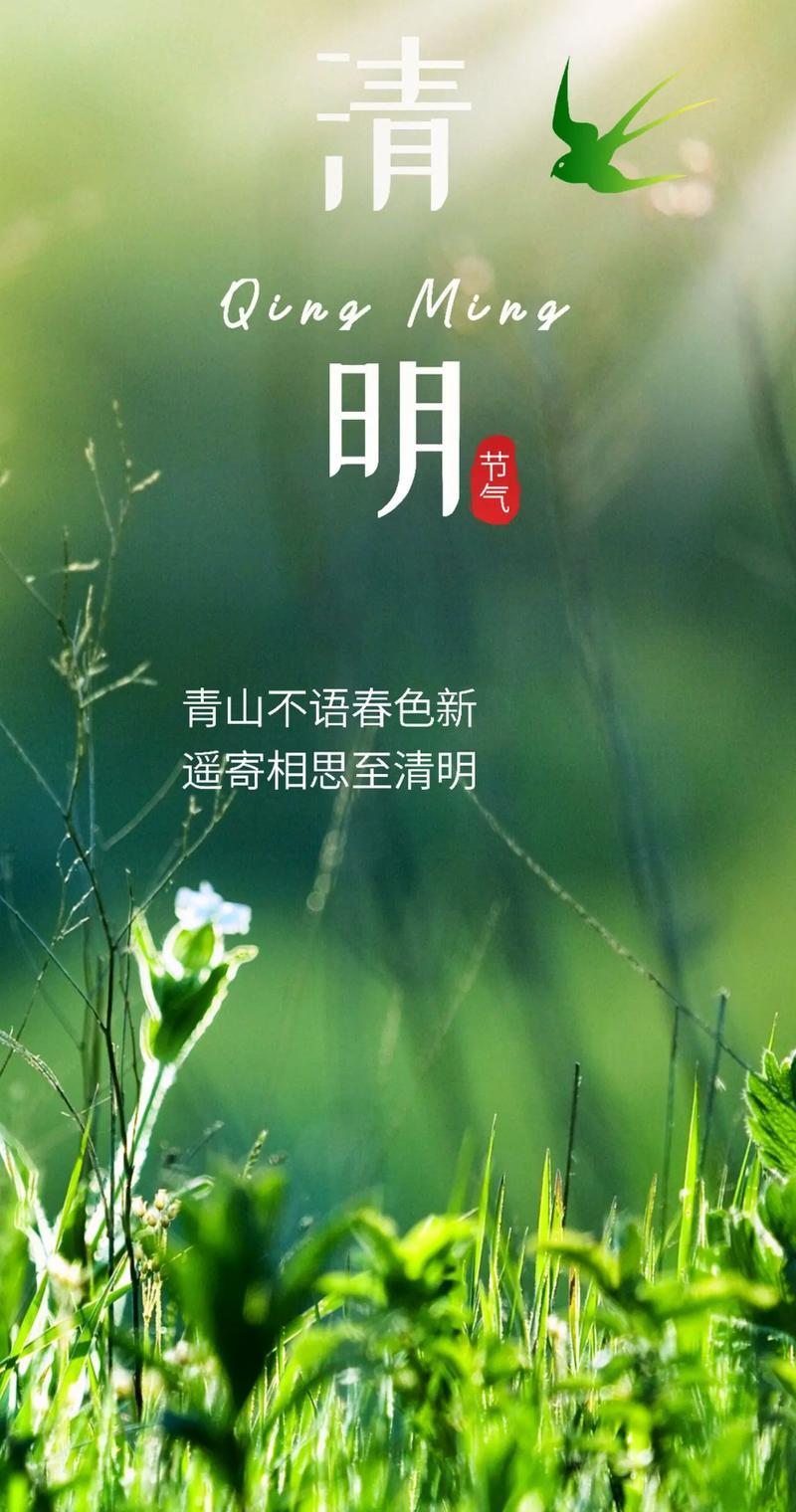 缅怀亲人，不忘祖辈，这是一个感恩的节日。清明节