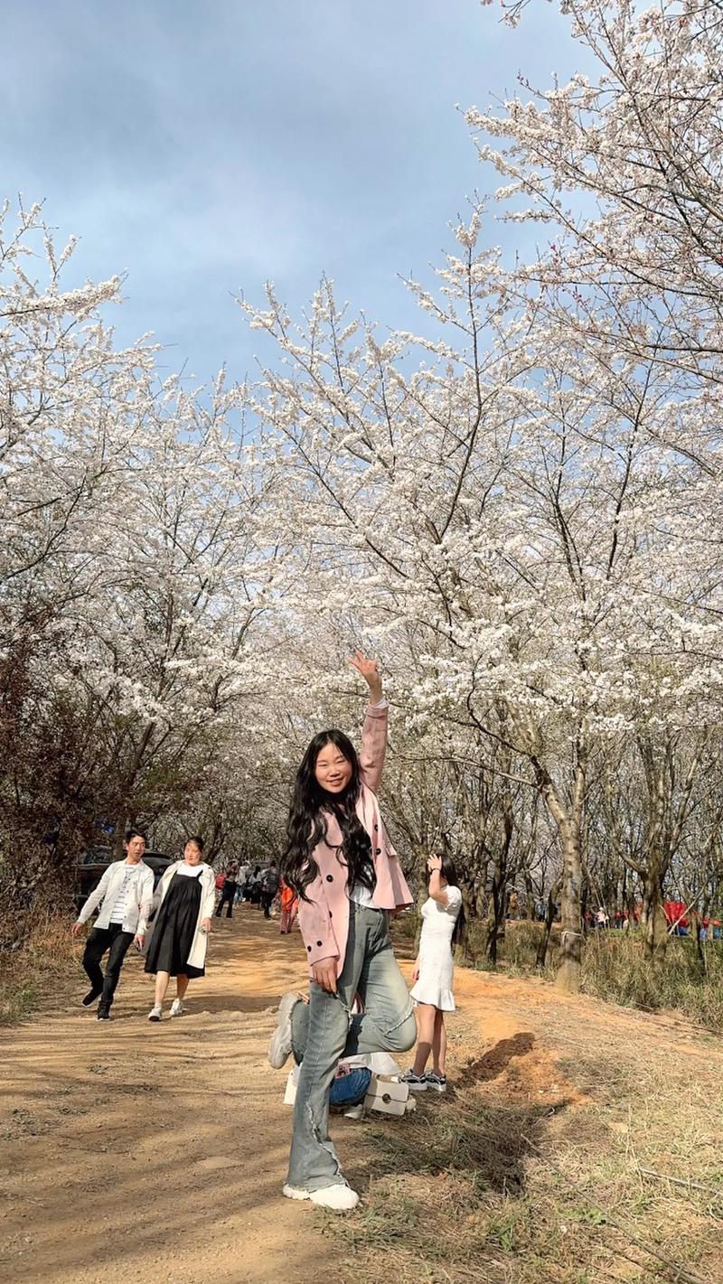 樱花树下人潮涌，春光正好，一起踏青去！