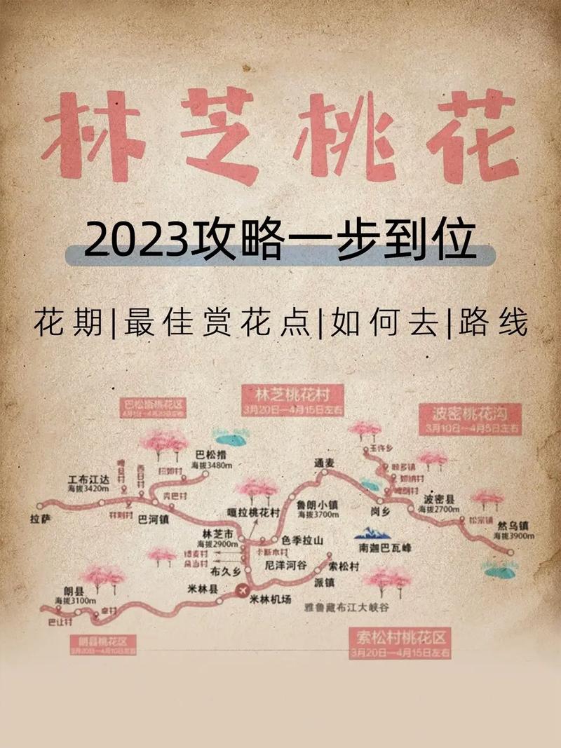 西藏林芝桃花进入盛花期！全网最全观赏地图请查收