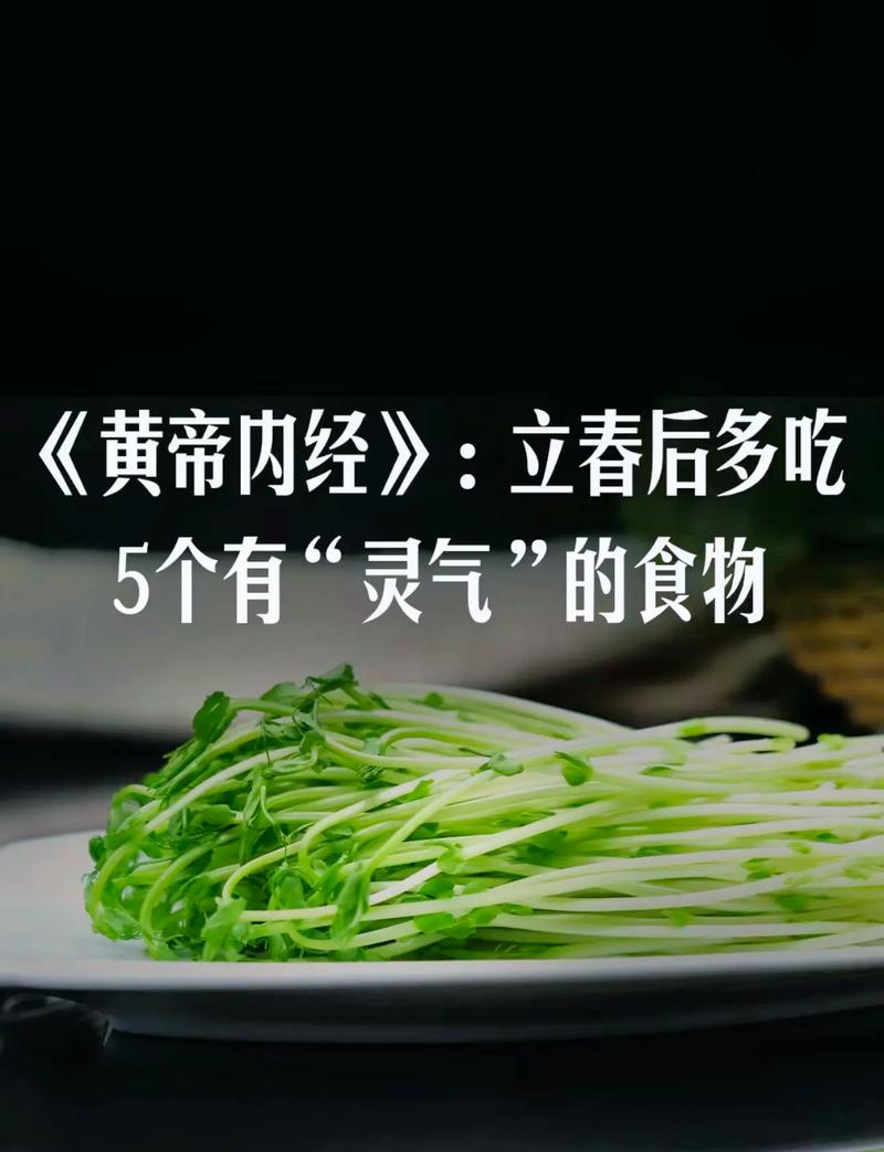 春天一定要吃的5种"芽"错过再等一年！别不信