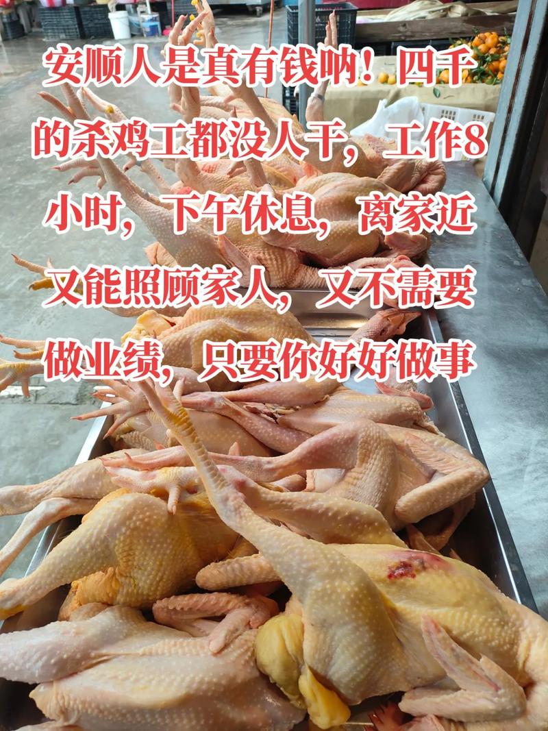 苗大姐宰杀自养乌鸡，做正宗贵州辣子鸡，卡卡炫饭吃肉肉