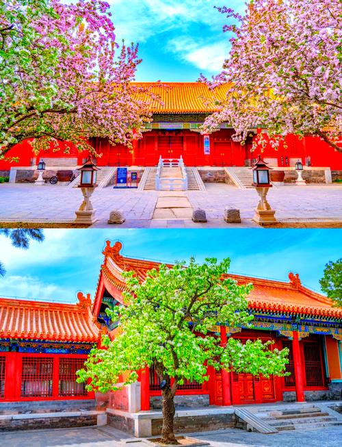 听说故宫已经变成了大花园，花都开在哪儿了？