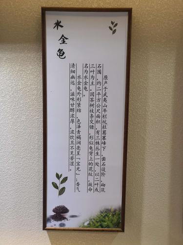 香江茗苑如何用一片叶子讲述中国故事？