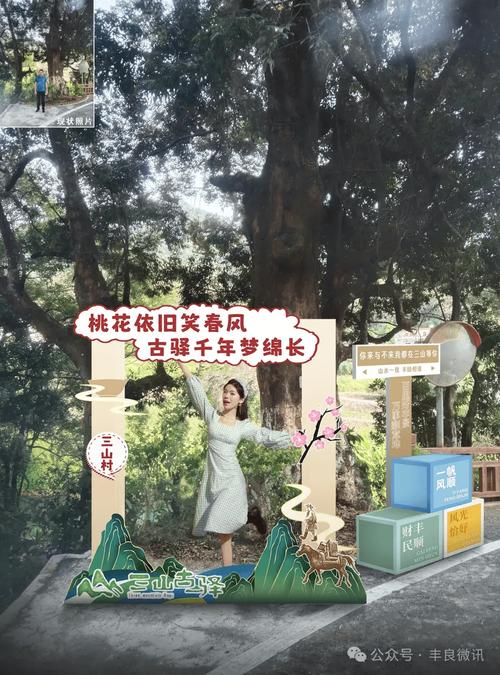 鹃海邀才，十里有约！丰顺县韩山历史文化旅游区成功举办徒步节