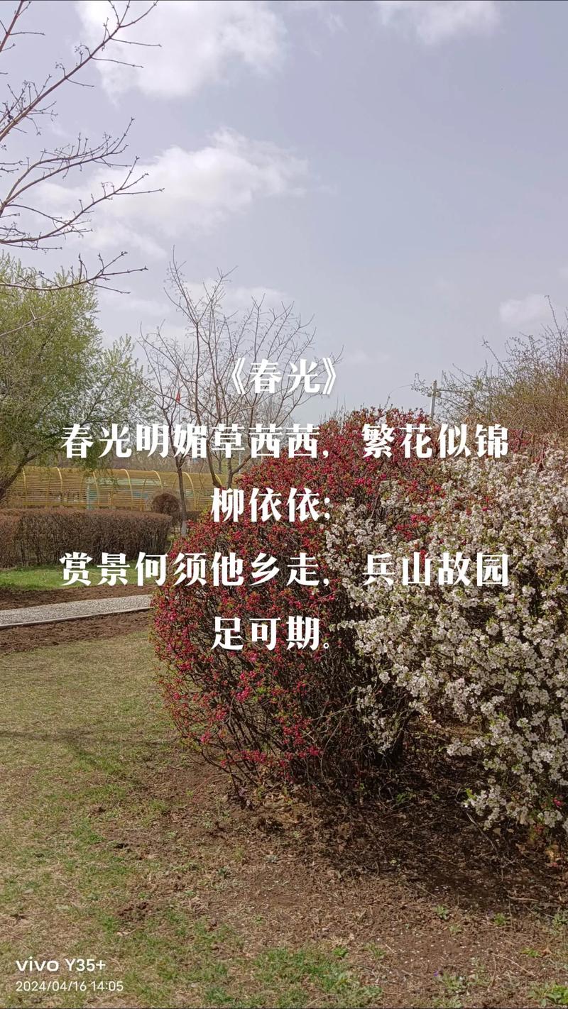 春光明媚的时刻，让我们所有人都亲近大自然