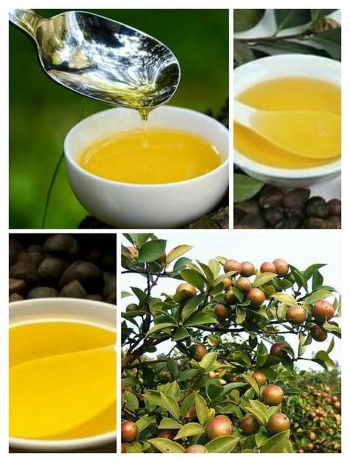 “油中之王”茶油，为何现在很少有人吃了？茶油都有哪些缺点？