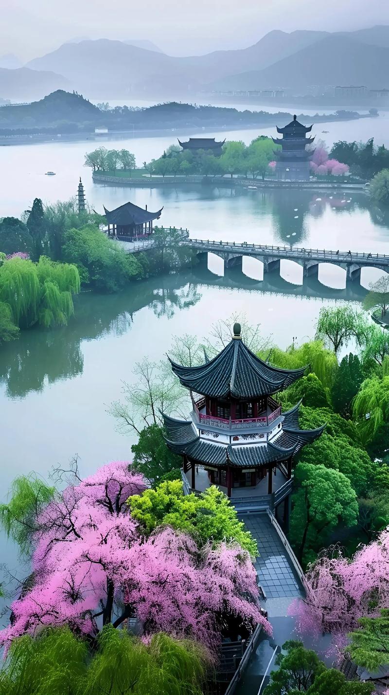 #杭州西湖风景区 景点打卡 感受春天的气息和美景