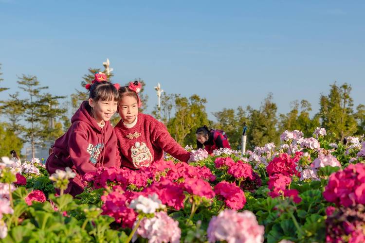 春日赏花游，花海人如潮，美景尽收眼底