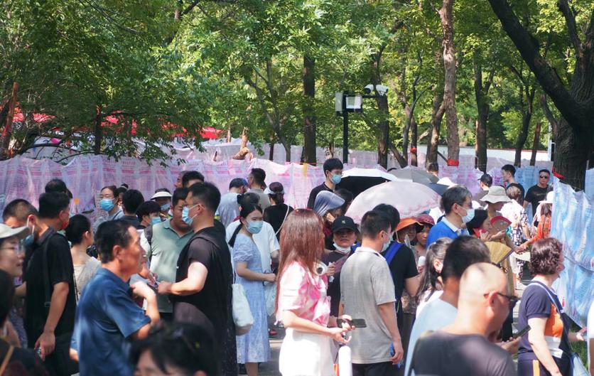果然视频|三月三千佛山相亲大会开幕即高潮，大批帅哥美女都来了