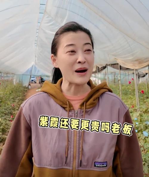 梅婷云南菜地摘花，素颜憔悴头发斑秃，穿土黄色衣服被认作农民