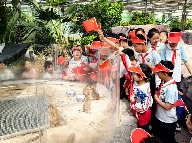 来振兴小镇，开启别样研学之旅！