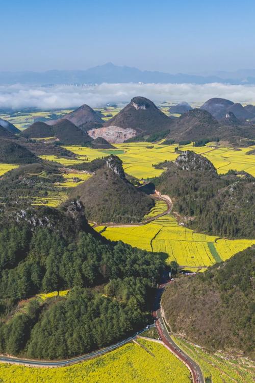 金鸡峰丛的油菜花海，金黄色的花海簇拥着锥状山峰林奇特壮观漂亮