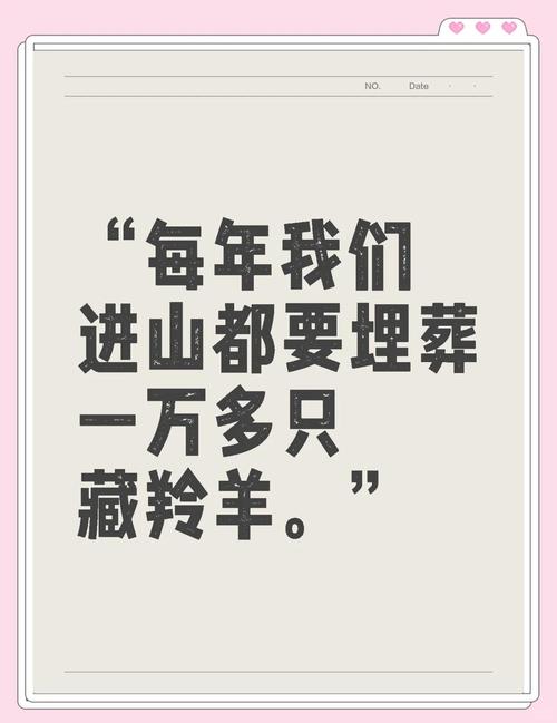 25人车队非法穿越可可西里无人区被抓：被发现时三分之二人员已出现高反 警方已移交可可西里管理处