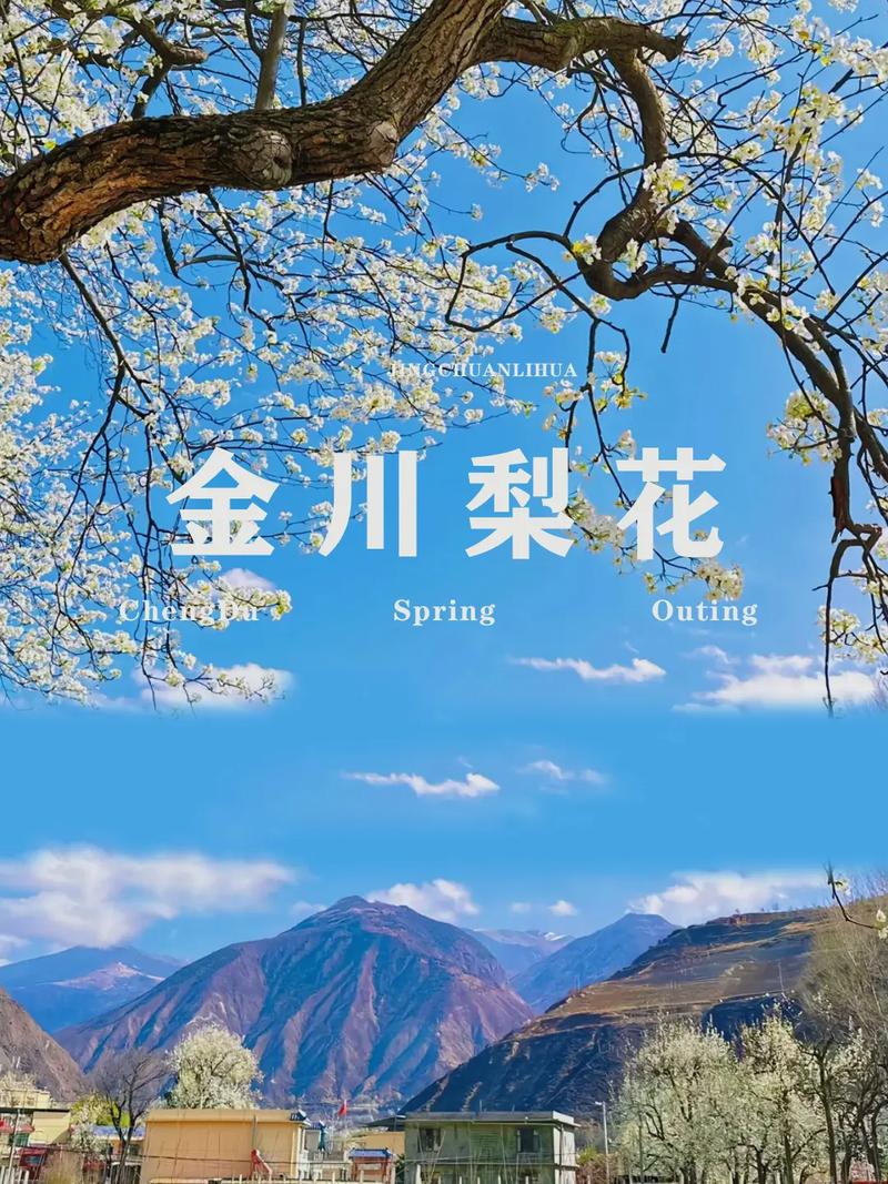 金甲梨花节"风起梨花醉"启幕 文旅融合引客465万创收47亿