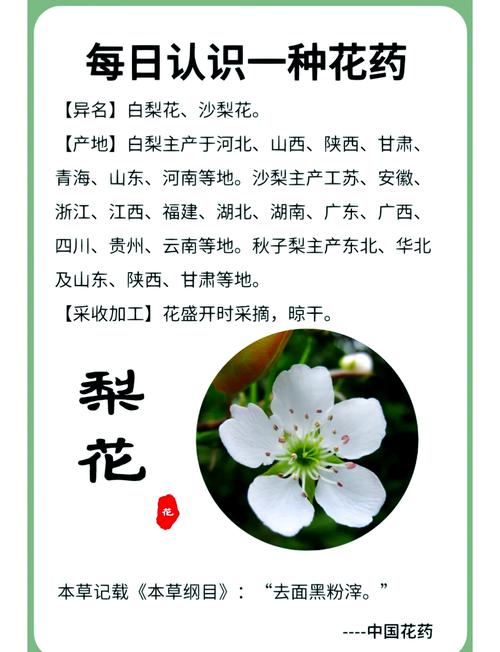 2025年4月 第224页