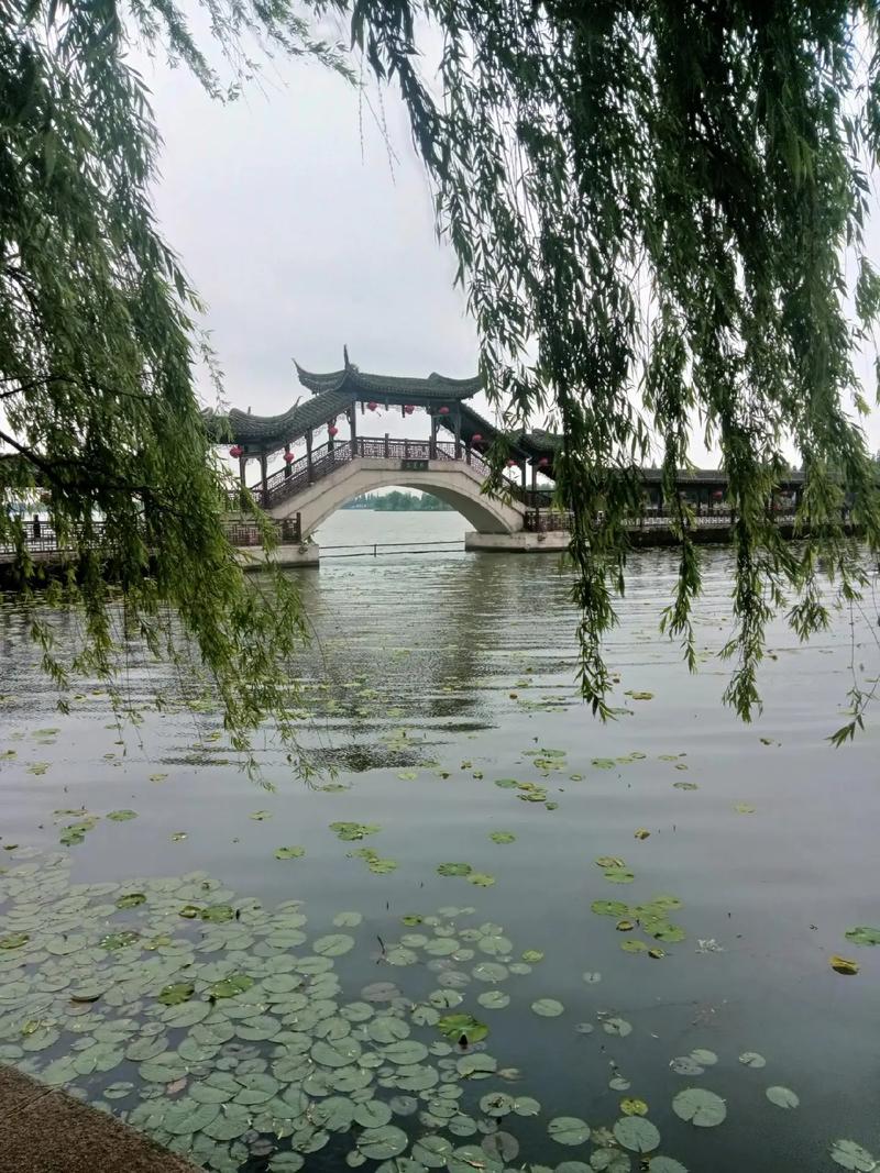 “梦回水乡，印象锦溪”视频记录美好瞬间#印象锦溪(合集完)
