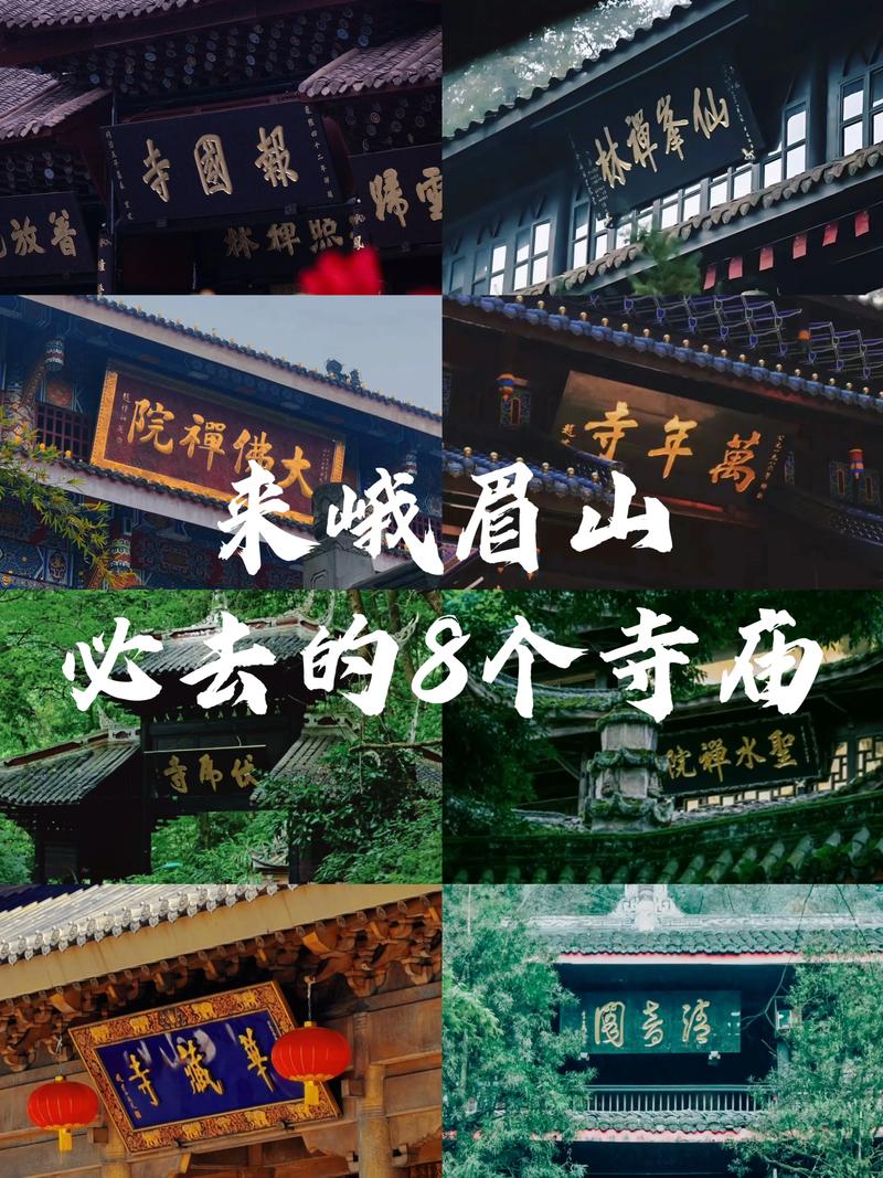随心所欲南方游，风景在路上，去峨眉山的路上路灯挺特色哈